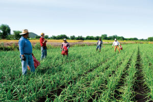 Nueva York impulsa protección laboral para trabajadores inmigrantes en sectores clave de la economía