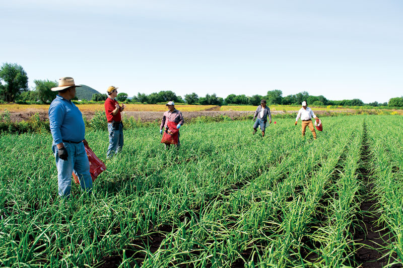 Nueva York impulsa protección laboral para trabajadores inmigrantes en sectores clave de la economía