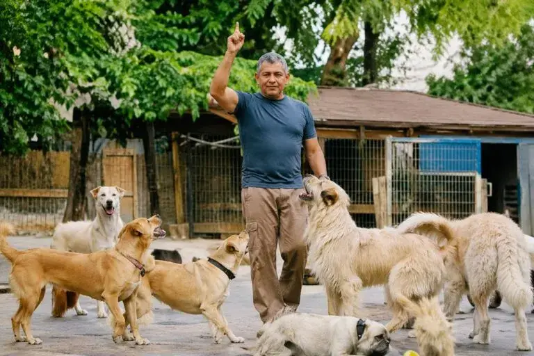 César Millán impulsa el bienestar animal en Latinoamérica y destaca su impacto social, cultural y urbano en la región actual