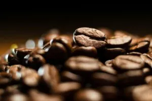 Café Sierra Negra fortalece la economía de Puebla mediante producción de calidad y desarrollo regional sostenible
