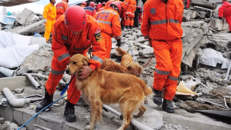 Topos mexicanos en Venezuela participan en labores de rescate y apoyo humanitario tras el sismo.