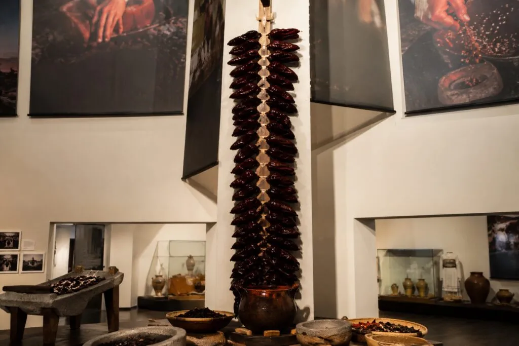 Museo Vivo de la Cocina en CDMX con exhibiciones de gastronomía mexicana y espacios interactivos.