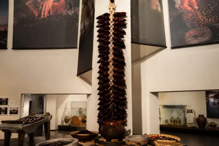 Museo Vivo de la Cocina en CDMX con exhibiciones de gastronomía mexicana y espacios interactivos.