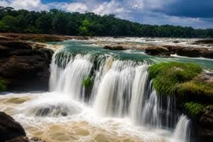 Turismo internacional en Colombia con paisajes naturales de Vaupés y visitantes explorando la selva amazónica.