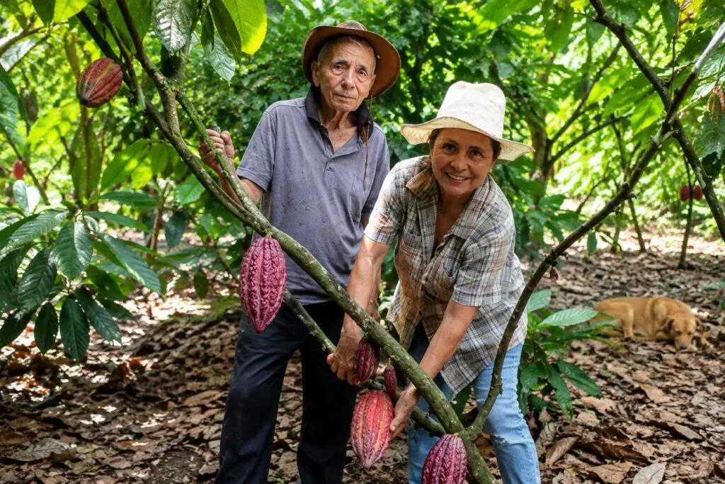 Cacao de Portoviejo impulsa chocolate artesanal, turismo y nuevas oportunidades para una productora de Manabí