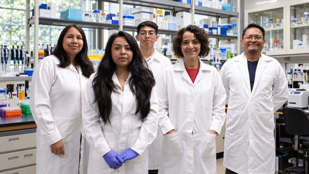 Representación de la proteína TIF1 gamma y células T reguladoras estudiadas por científicos mexicanos para controlar la inflamación.