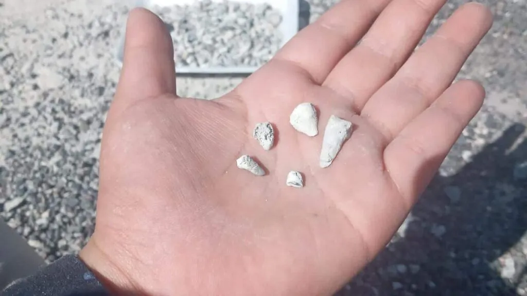 Madres buscadoras reportan alrededor de 1,600 dientes de leche recuperados desde 2021 en Zacapu, Michoacán. Esto es lo confirmado y lo que falta esclarecer.