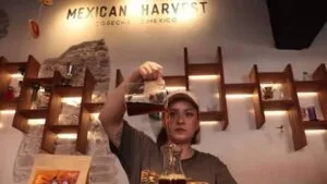 Café mexicano preparado con granos cultivados por familias productoras de diferentes regiones del país