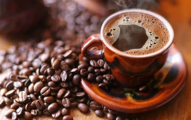 Café mexicano producido en distintas regiones del país fortalece su presencia en mercados nacionales e internacionales.
